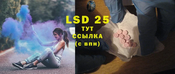 индика Абинск