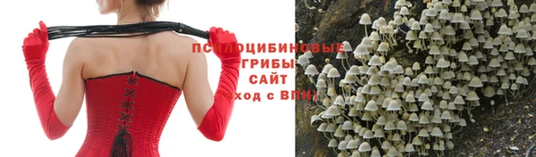 индика Абинск