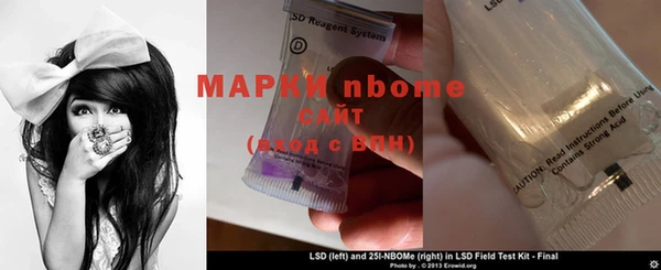 индика Абинск