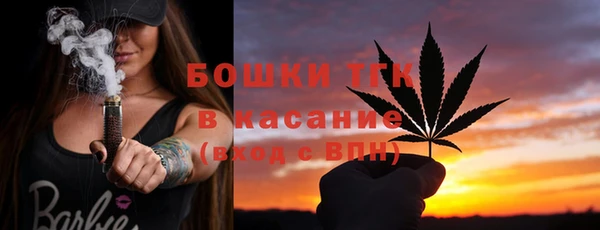 индика Абинск