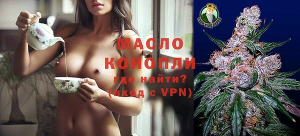 индика Абинск