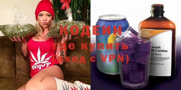 индика Абинск