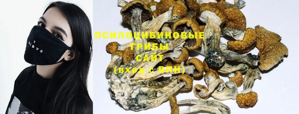 прущие крисы Алексеевка