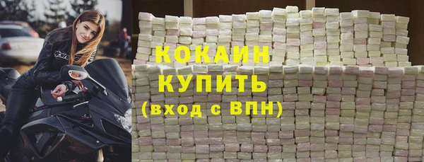 индика Абинск