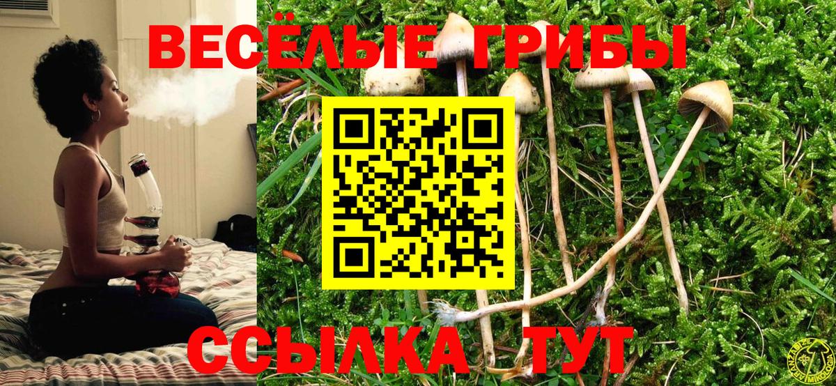 Галлюциногенные грибы Magic Shrooms Нальчик