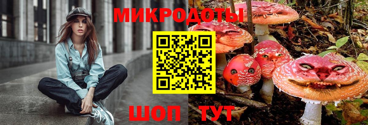 хочу наркоту  Галлюциногенные грибы GOLDEN TEACHER  Вход с VPN  Нальчик 